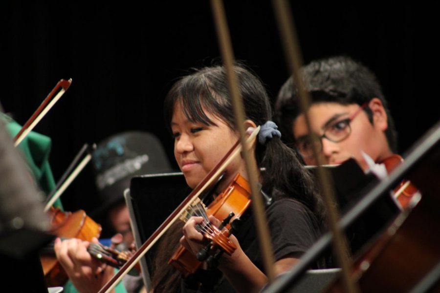 Students in Shadow Ridge Orchestra