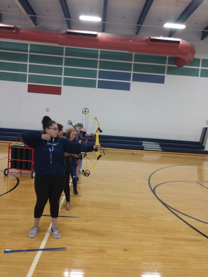 Members of the Archery Club practicing in the Shadow Ridge High School gym.