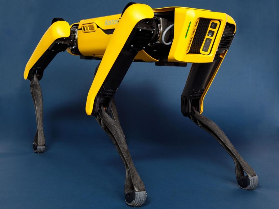 This is an image of the Boston Dynamics Robotic Dog