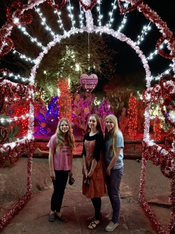 Ethel M's cactus garden will light up for the holidays