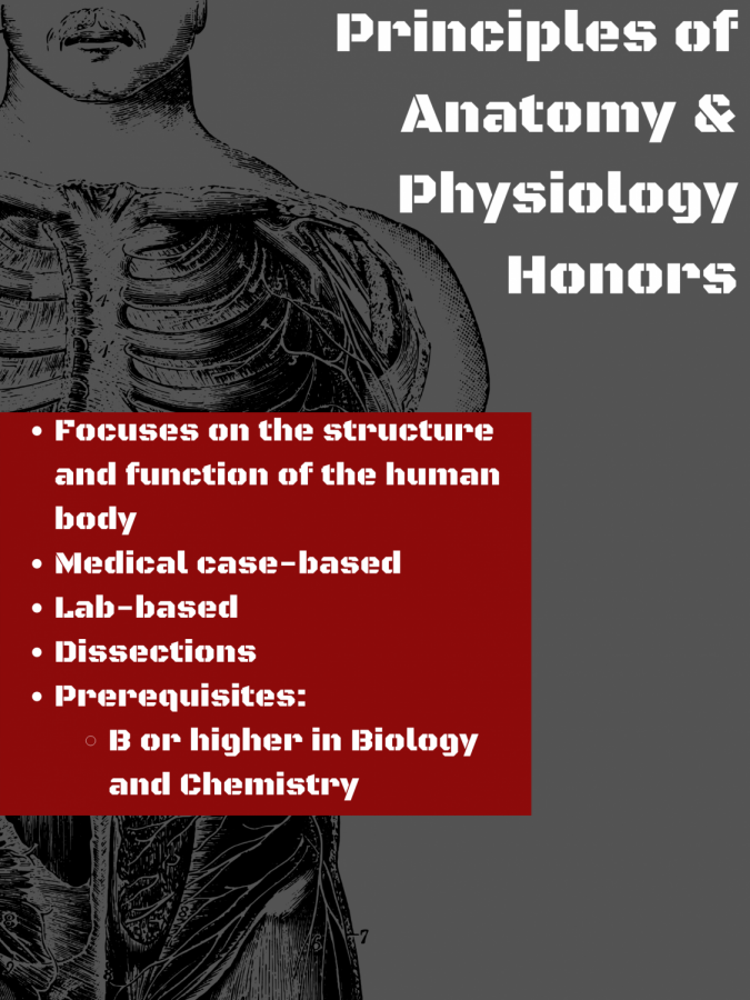 Principles of Anatomy and Physiology H