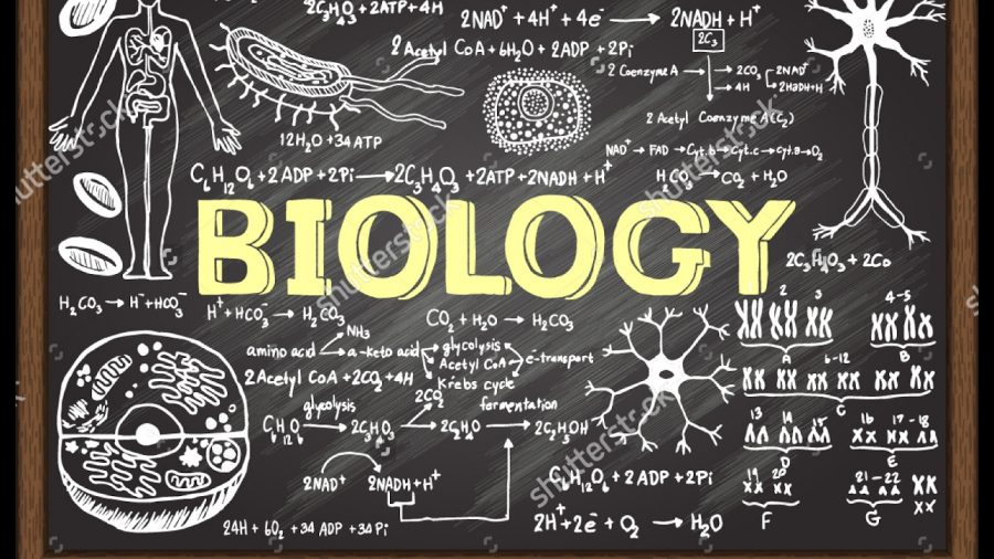 AP+Biology
