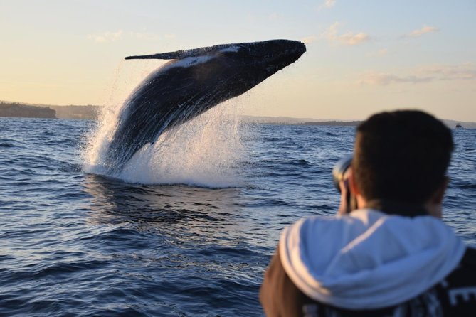 Boy Photographing a Whale