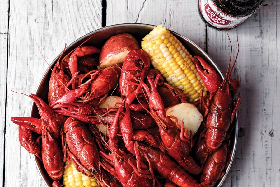 Crawfish in a Bucket