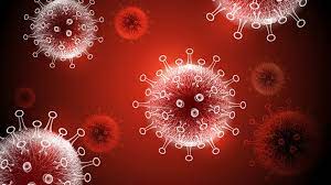 Image of a corona virus. 