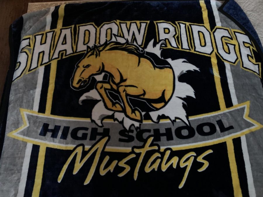 Mustang blanket