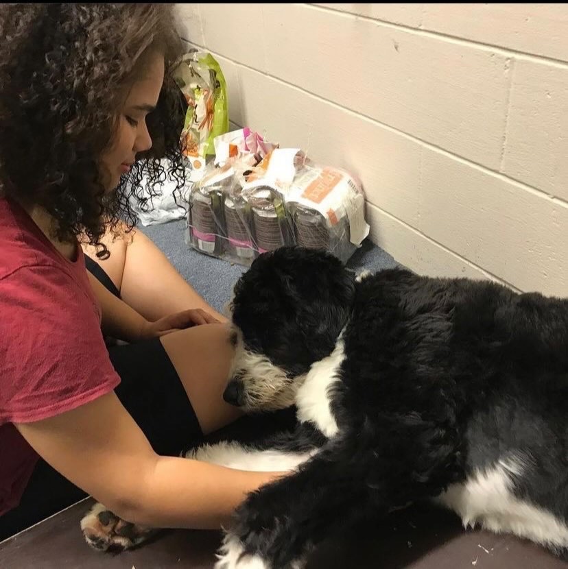 Wagner is seen tending to one of her dogs.