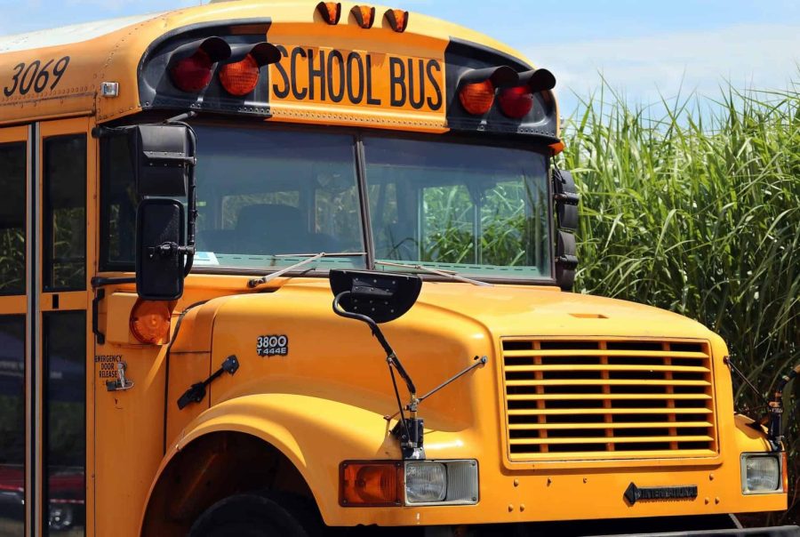 Clark+County+School+Bus