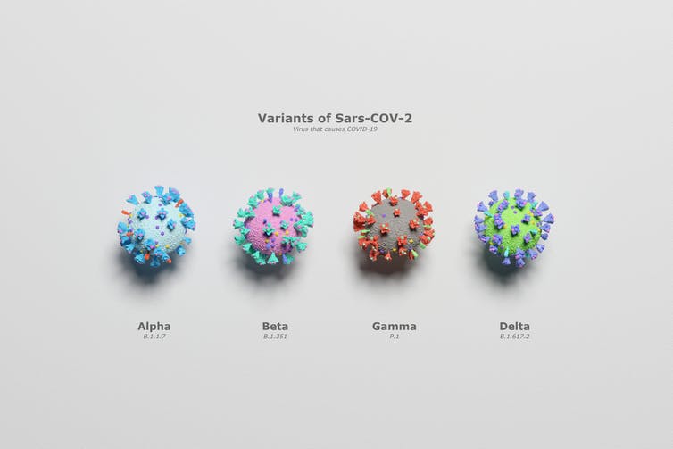 Different Variants of Covid 