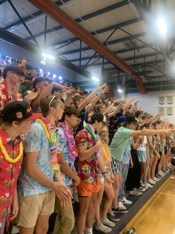 Mustang fans showed up in Hawaiian themed apparel for the game