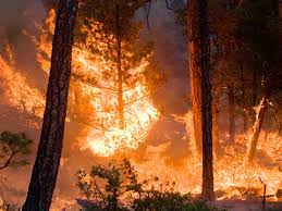 Wildfires ignite and spread all over New Mexico and the southwestern United States.