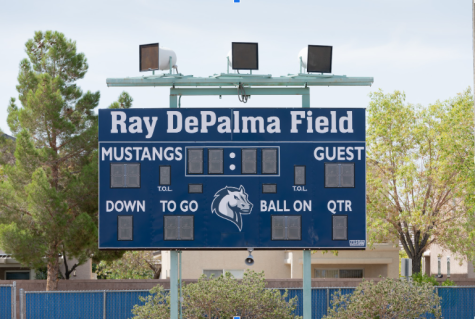 Ray DePalma Field