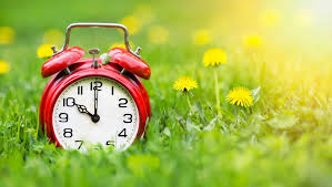 Clock in a grass field 