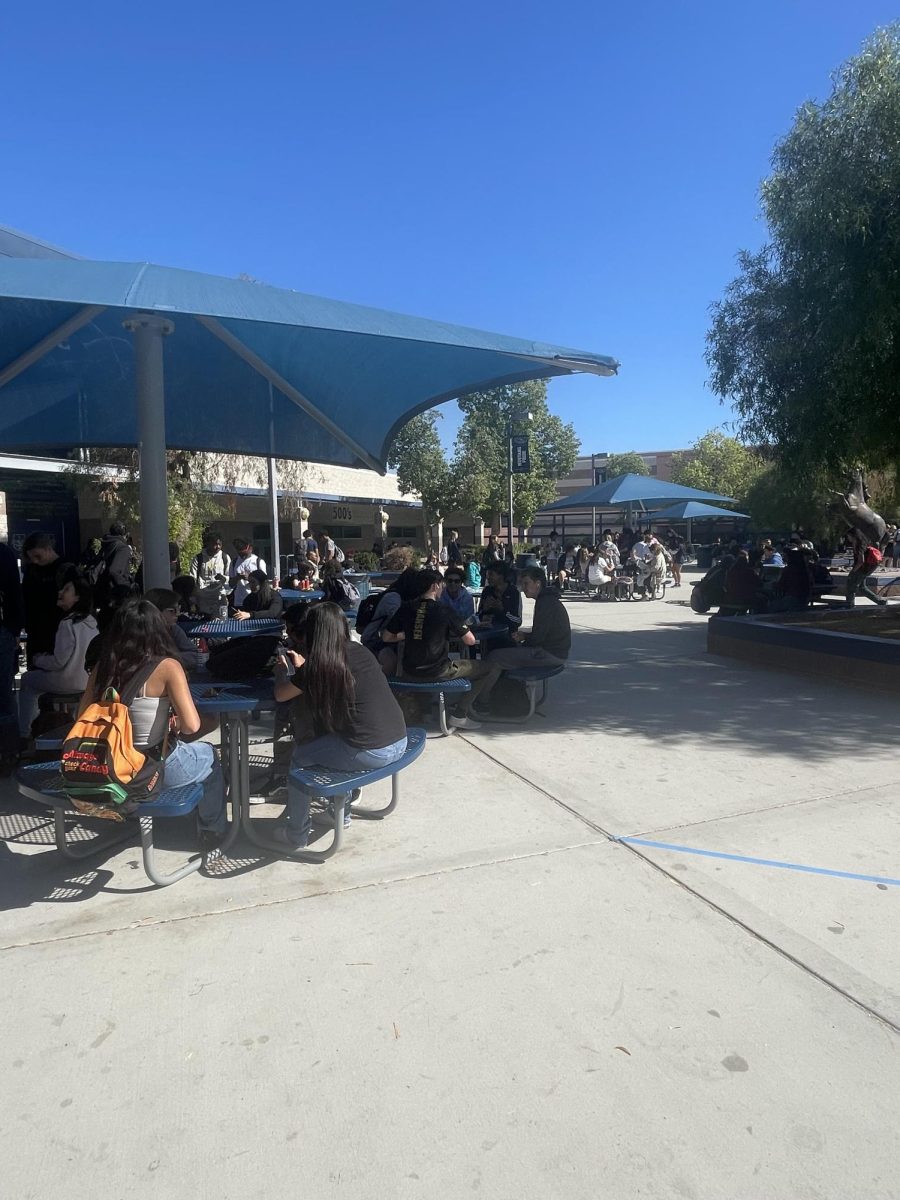 Students love sitting outside to eat their lunch.