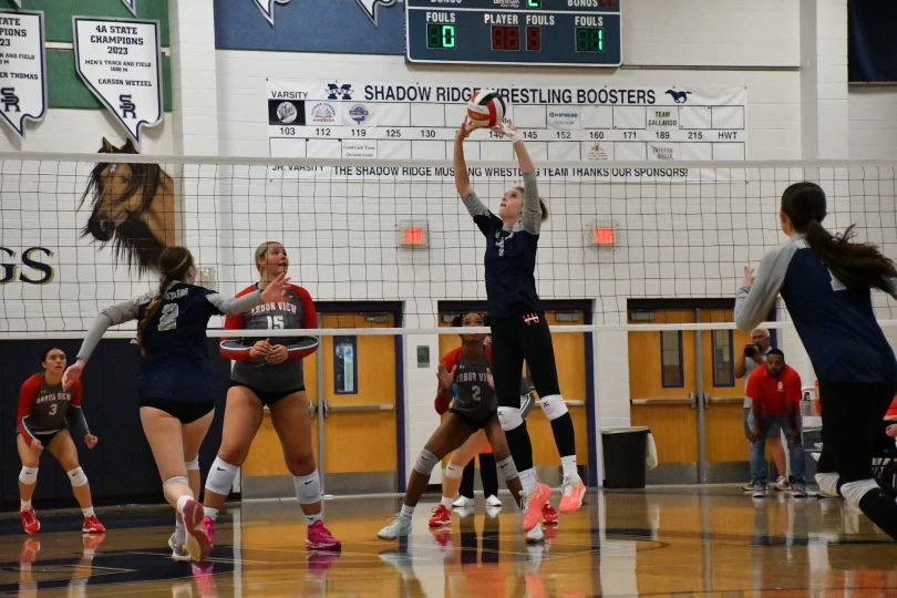 Madi Miller setting the ball during a game against Arbor View Aggies.