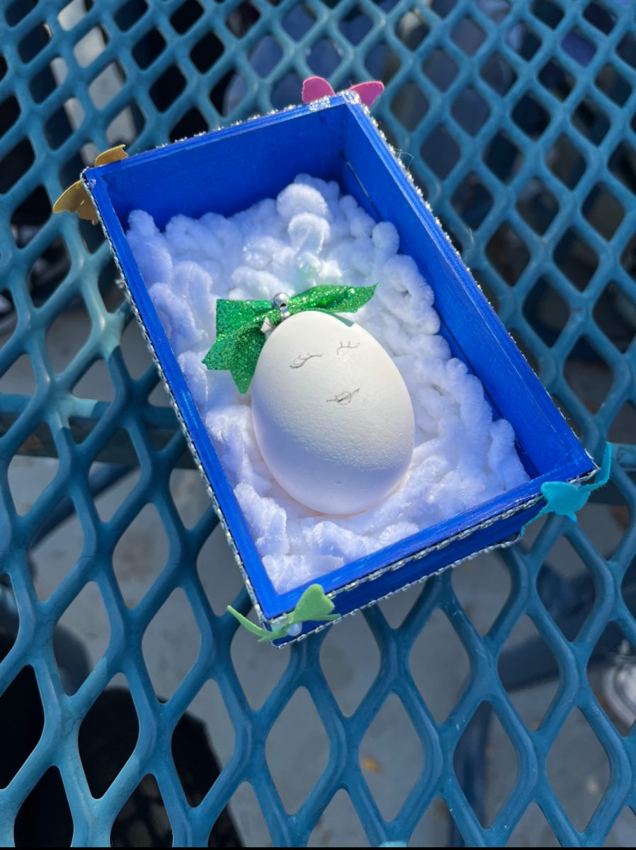 One of the students' eggs