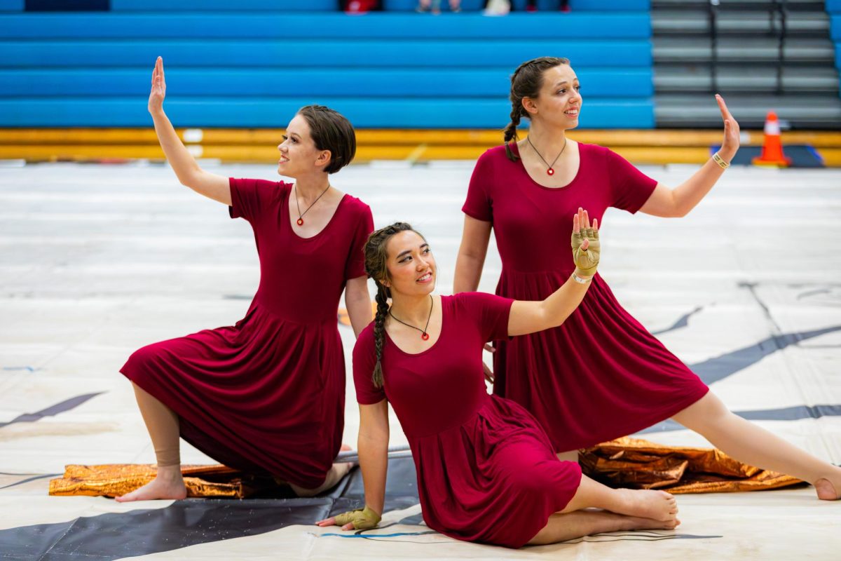 Winter Guard Picture from Allison Thibault