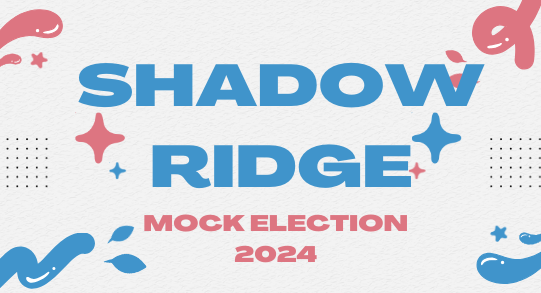 A Shadow Experience : Students Take Part In Mock Election