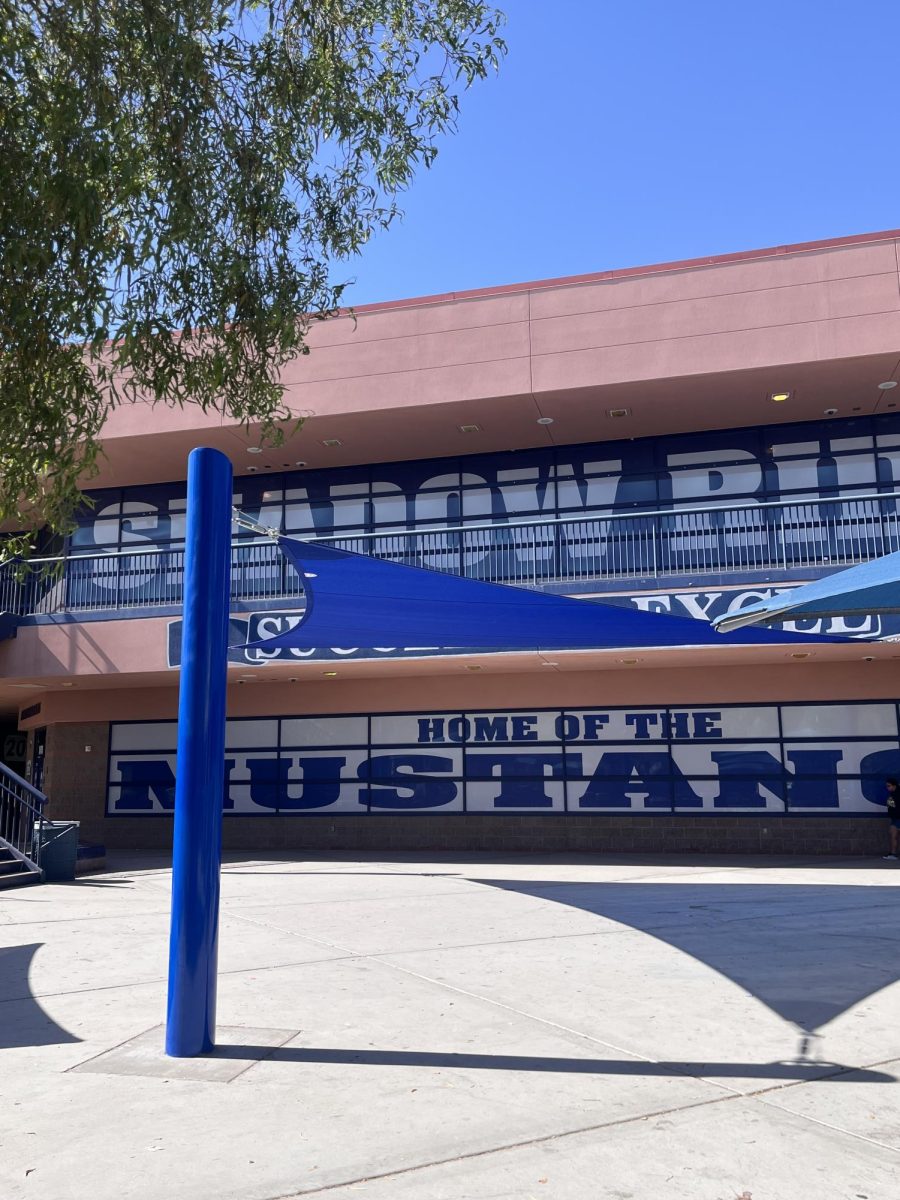 Photo of the new shade structure.