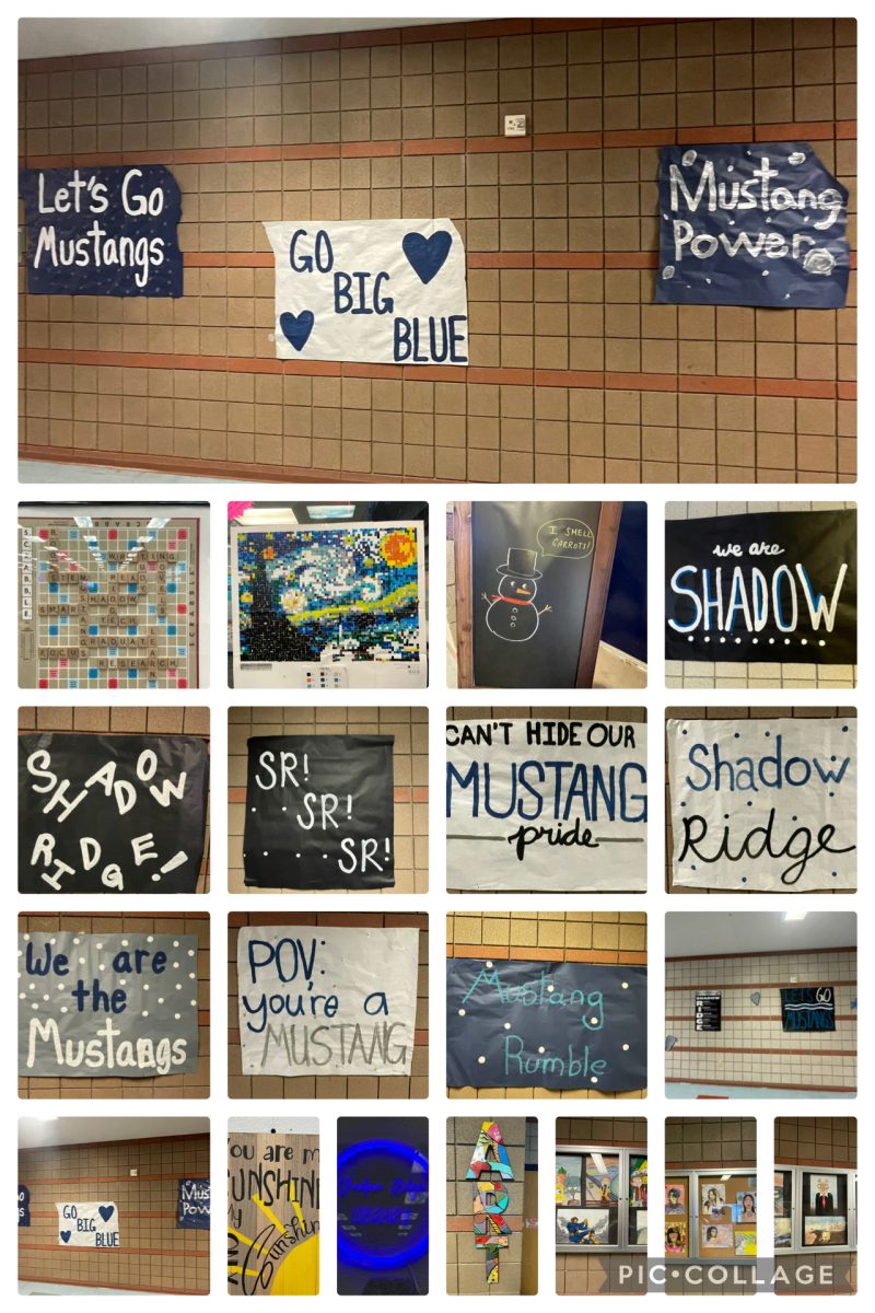 Collage of the art at Shadow Ridge