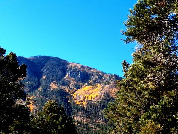 Following the trails of nature with Unplugged-N-Outdoors Club and Gardening Club. (Courtesy of Brad McKee)