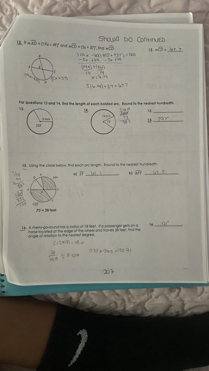 Sophia Alvarez freshman year geometry homework. 