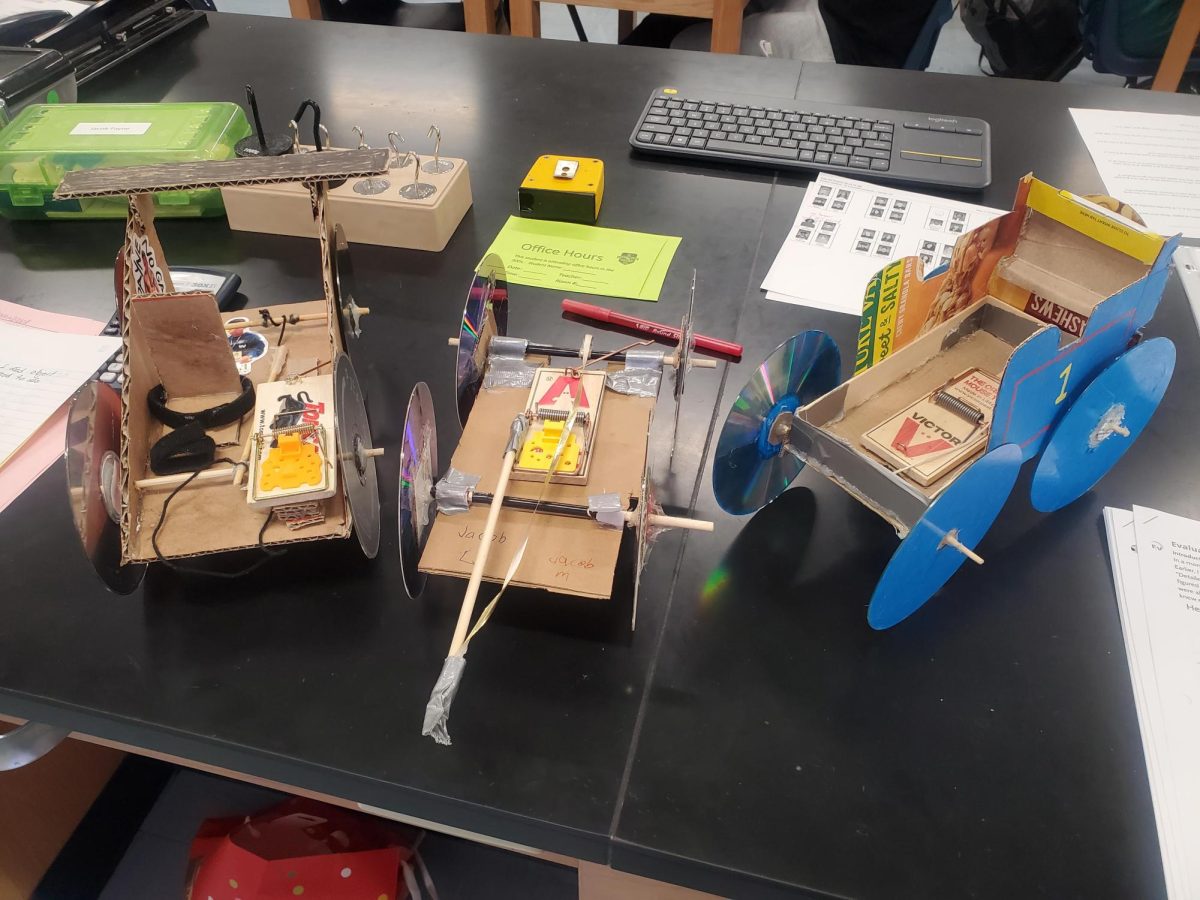 Fun mousetrap end of the year project.