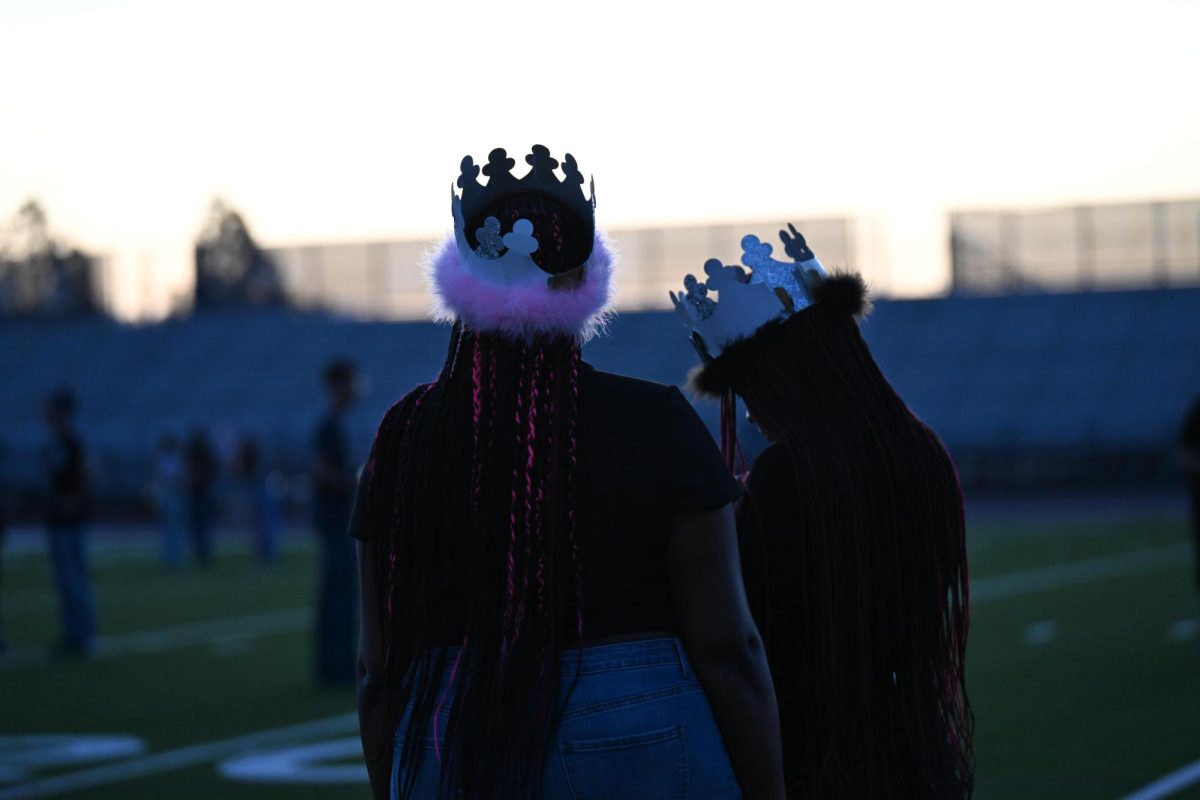 DSC_9337