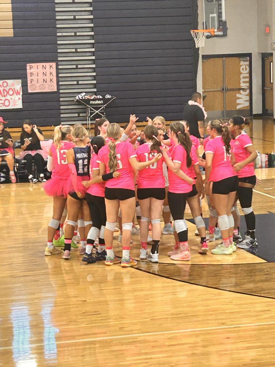 Girls Volleyball Huddling Before Their Game