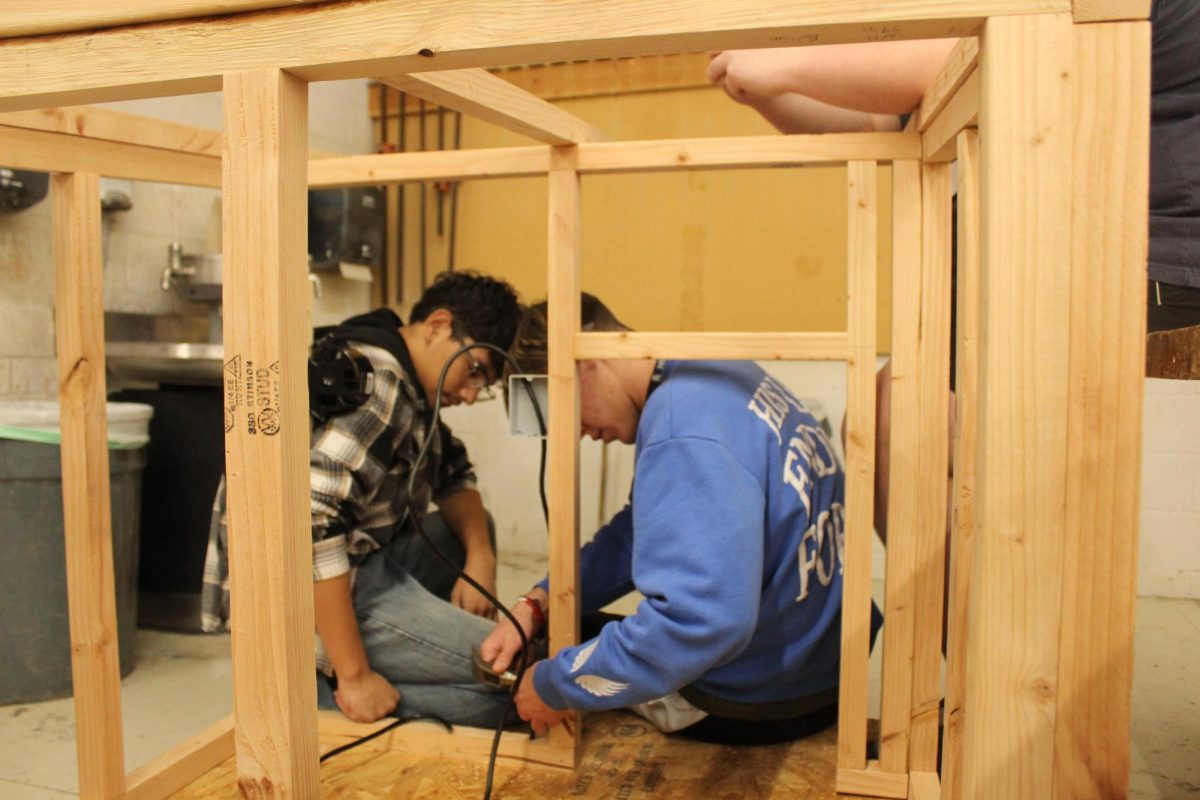 The process of building the dog house.