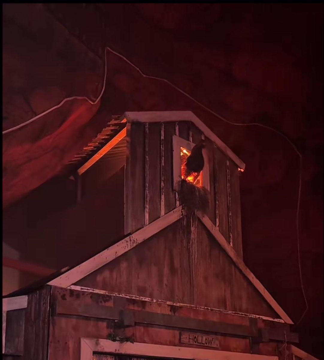 Haunted House at Fear Zone.