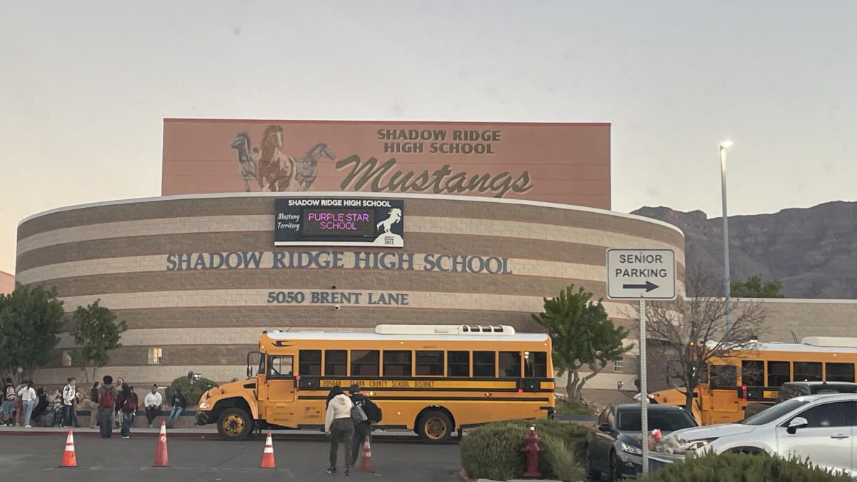 Shadow Ridge Purple Star School Sign