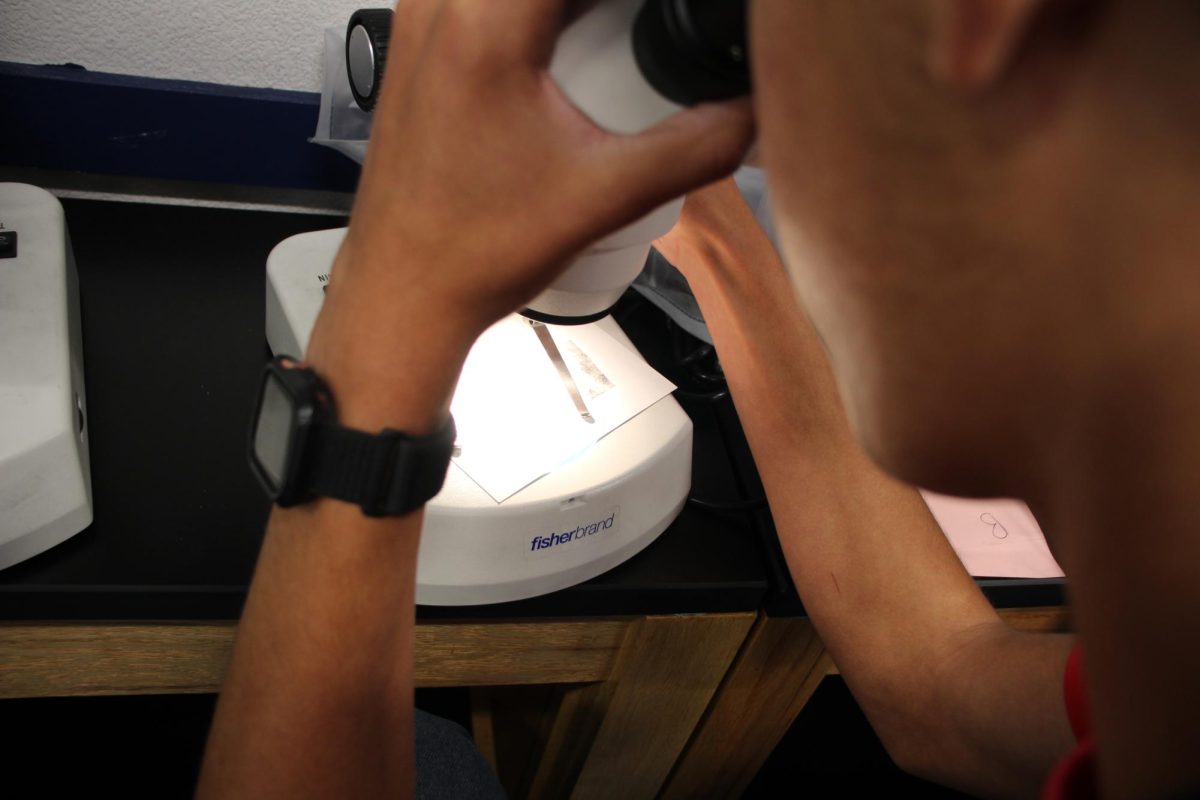 A student looking through a microscope to see a better look of a fingerprint.