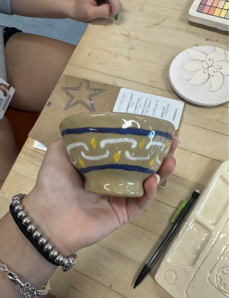 A student's completed project