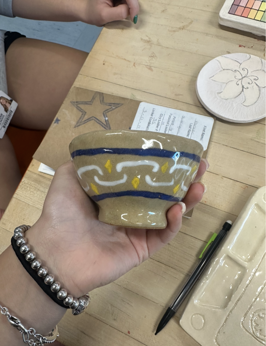 A student's completed project