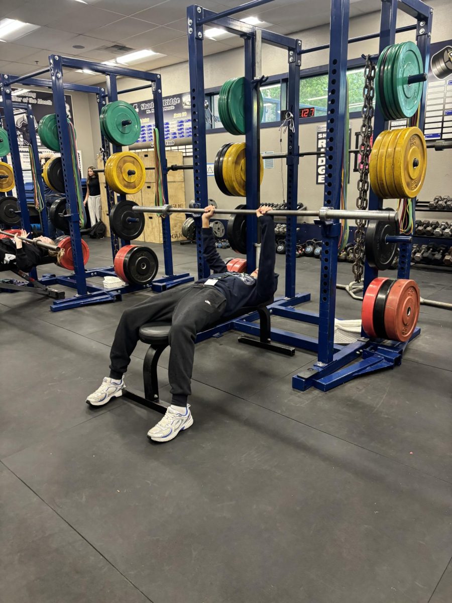 Student in Fitness Club lifting weights.