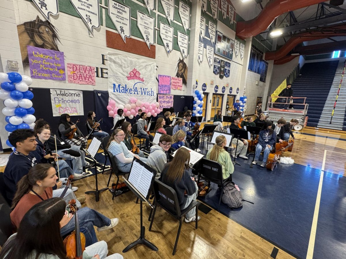 Chamber orchestra