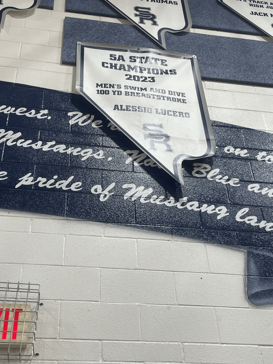 State Champion Swim Posters