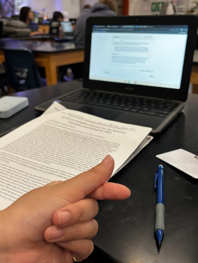 Shadow Ridge student working on APAAS homework