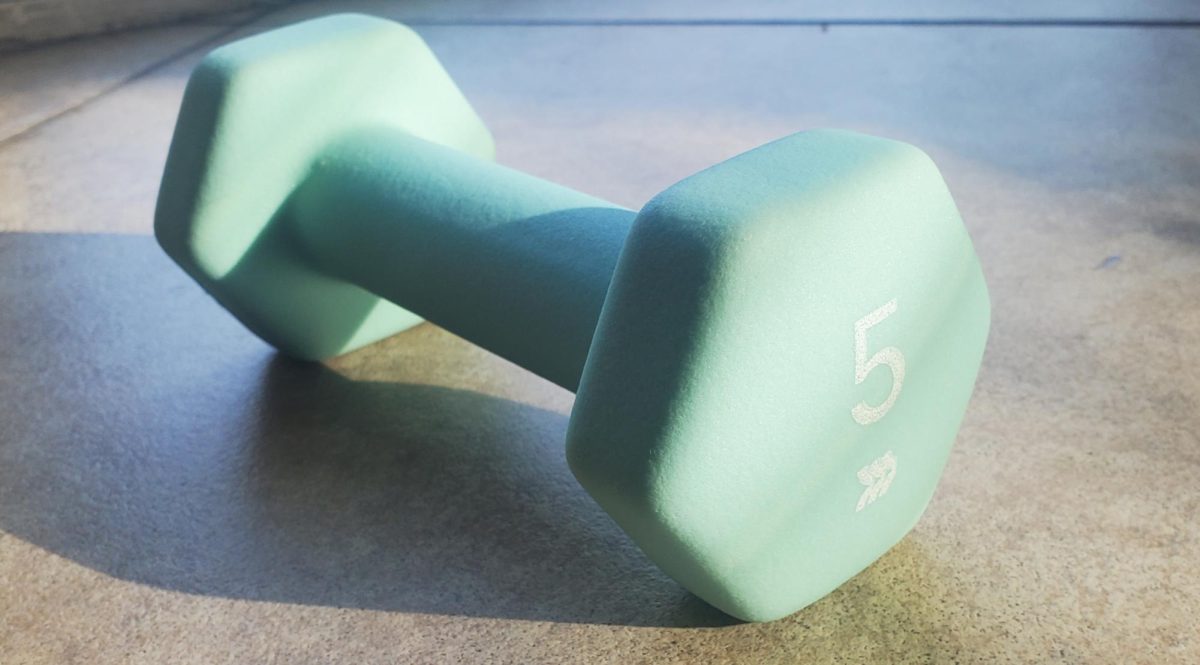 5 lb weight.