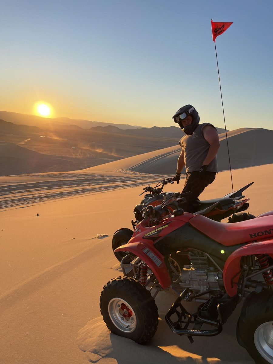Brock on the dunes