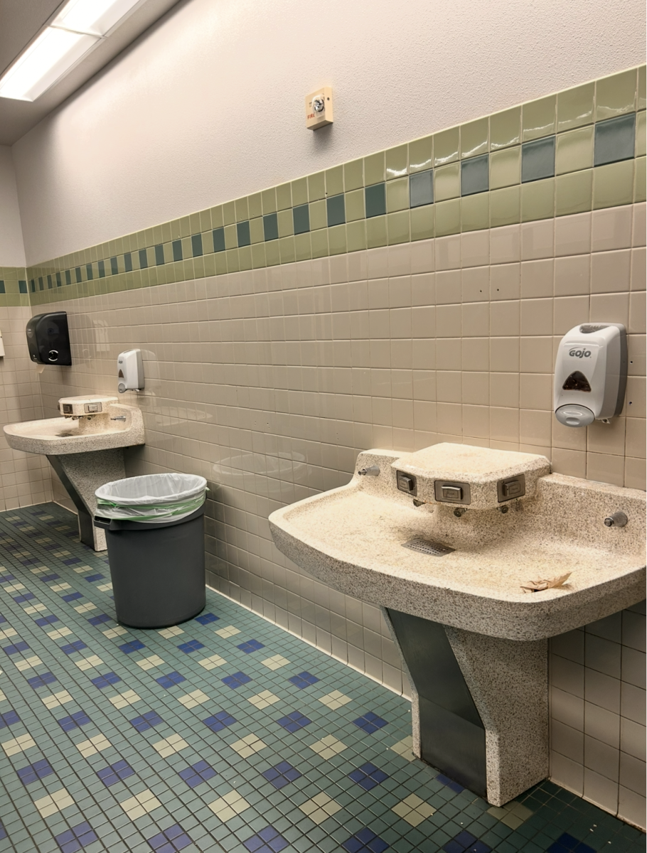 The Bathroom with the Missing Mirrors