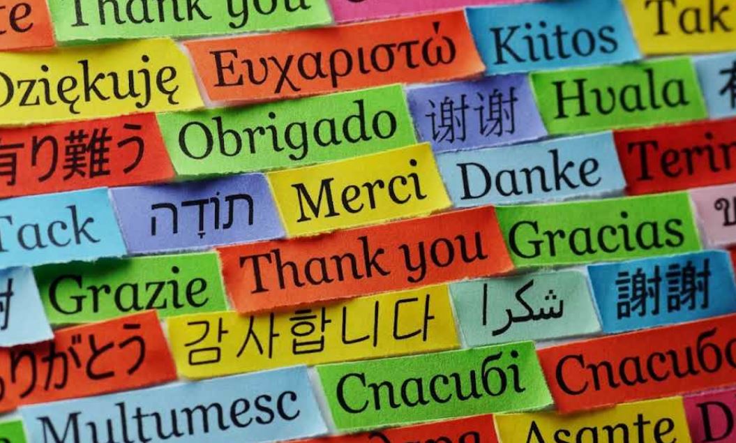 A World of Languages at Shadow Ridge: French, Spanish, and Japanese