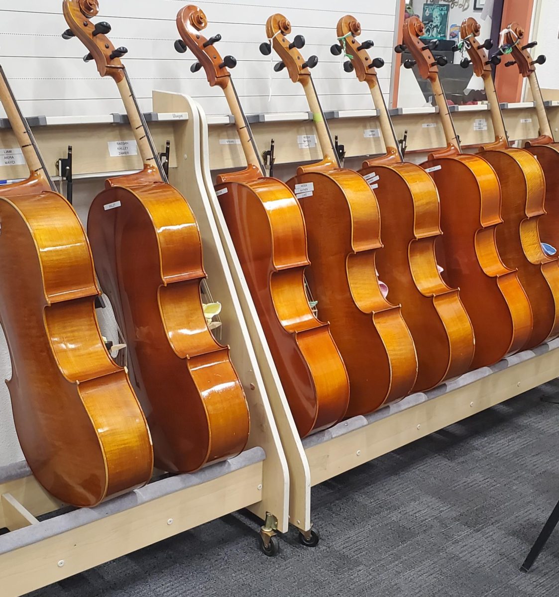 A line of orchestra instruments.