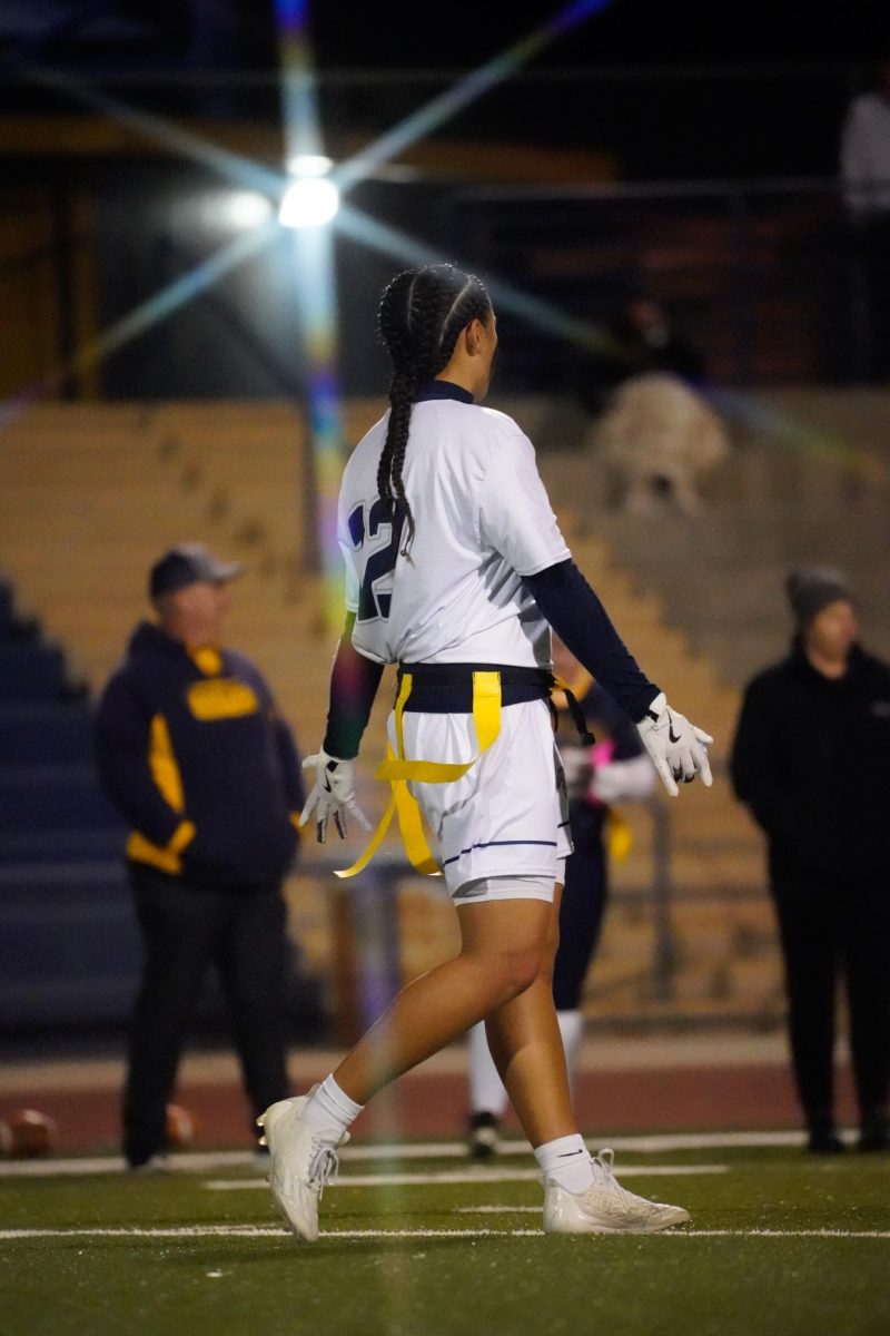 Palmer during a game. 