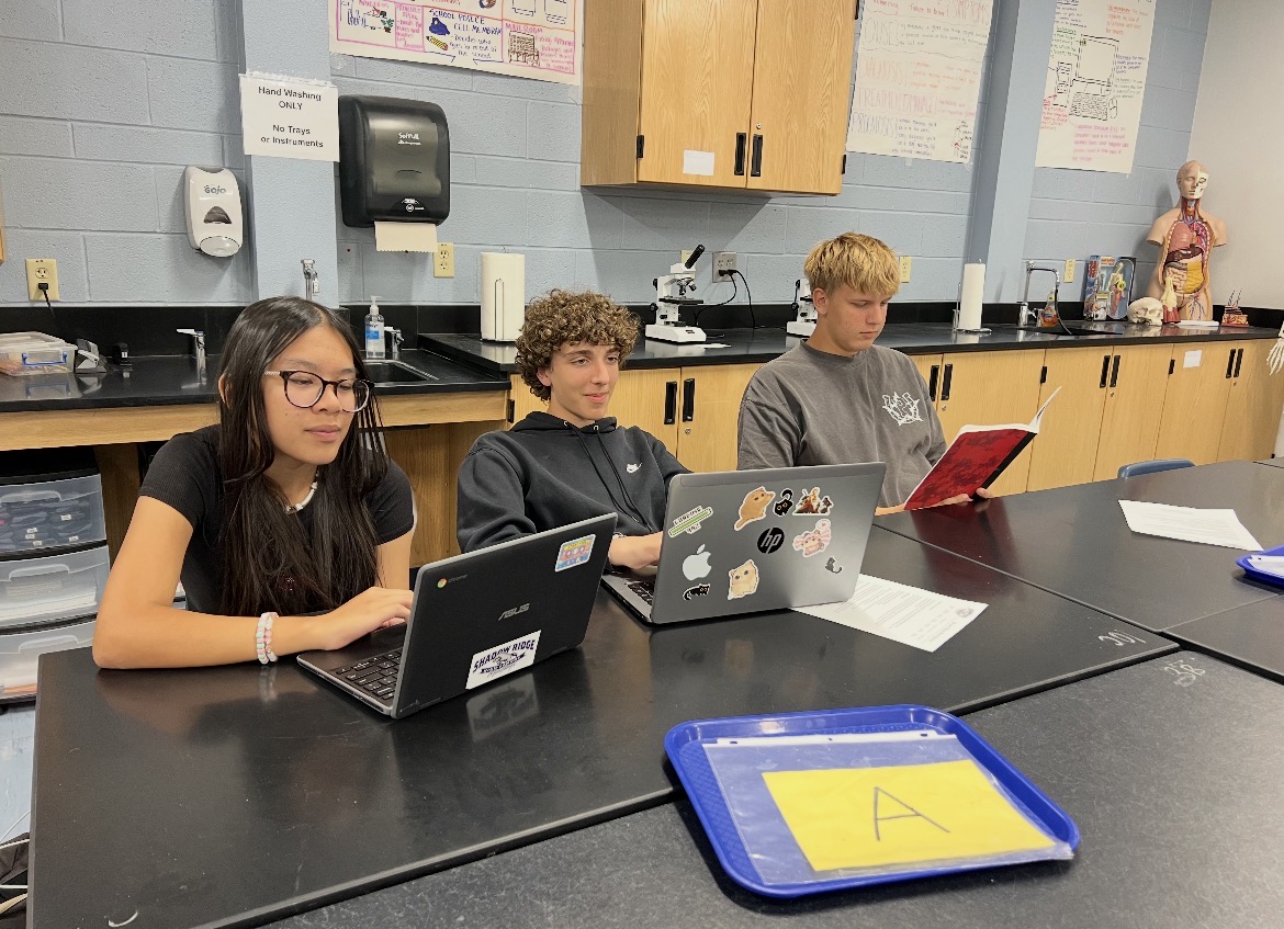 Students studying in HOSA